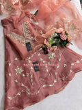 Tissue organza fabric kurta with zardozi handwork