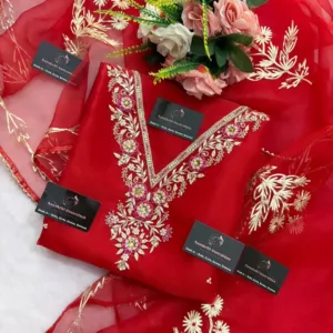 heavy rich organza fabric kurta with zardozi handwork