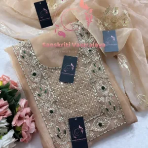 Tissue organza fabric kurta with zardogi handwork