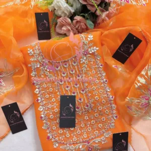 Tissue organza fabric kurta with zardogi handwork