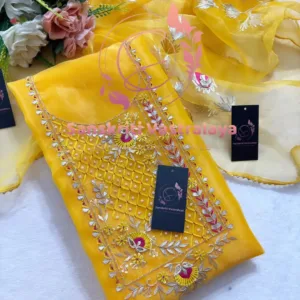 Tissue organza fabric kurta with zardogi handwork