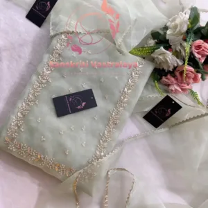 Tissue organza fabric kurta with zardogi handwork