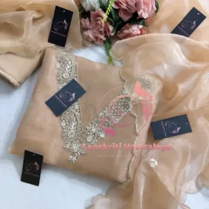 Tissue organza fabric kurta with zardogi handwork