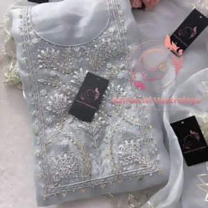 Tissue organza fabric kurta with zardogi handwork