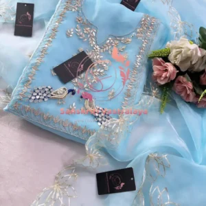 Tissue organza fabric kurta with zardogi handwork