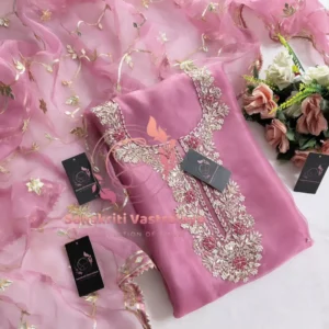 Tissue organza fabric kurta with zardogi handwork