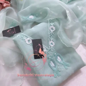 Tissue organza fabric kurta with zardogi handwork