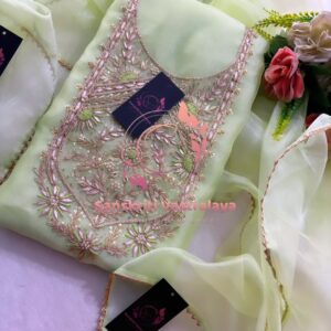 Tissue organza fabric kurta with zardogi handwork